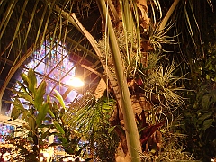 084 Toledo Zoo Light Show [2008 Dec 27]